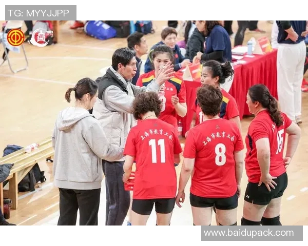 上海排球队的奋斗历程与荣耀时刻全景纪实