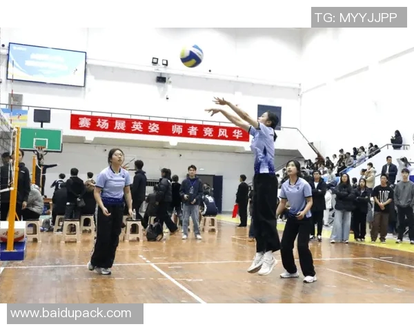 成都排球队的奋进之路:一段排球精神与团队合作的真实纪实 成都排球队的奋进之路:一段排球精神与团队合作的真实纪实