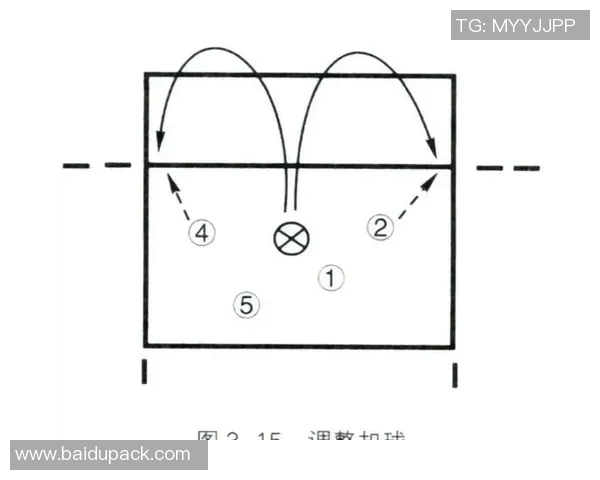 独家解析西安排球队配合风格及战术对比分析